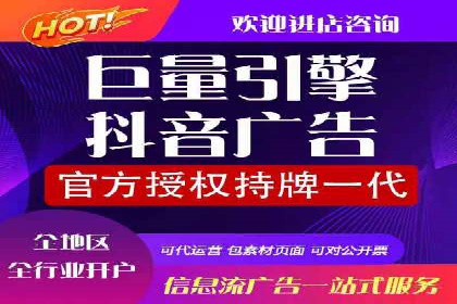 竞价端口开户全攻略，案例分析