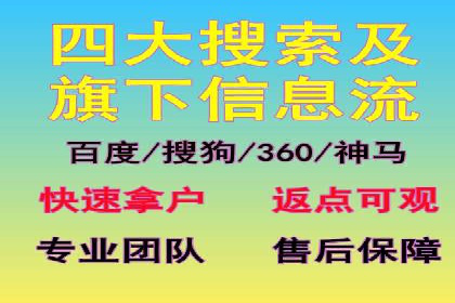 行业领先企业的SEM服务托管策略案例